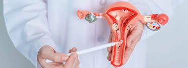Ovarian Cyst Treatment in South Delhi – Expert Care by Dr. Jaya Kumar Agarwal
